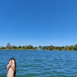 University City Paddle Boats