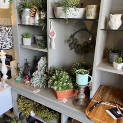 Cindarella's Attic LLC - Plants