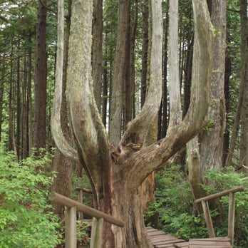 Cape Flattery - Hiking Near Me - Neah Bay, Washington Cape Flattery - Hiking Near Me - Neah Bay, Washington