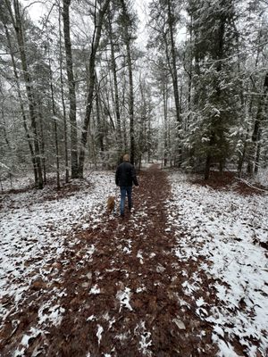 Petoskey State Park by null