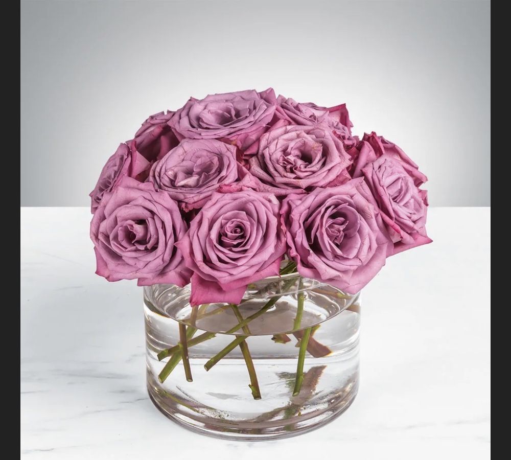 THE FUNKY FLOWER Updated September 2024 25 Photos & 39 Reviews