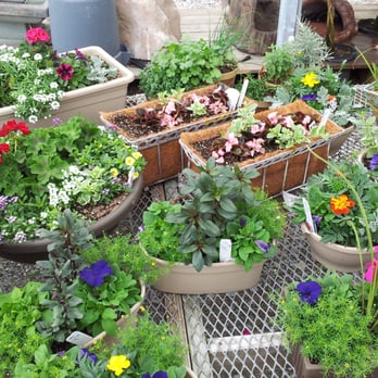 Creekside Gardens - Nurseries & Gardening Near Me - Collinsville, Illinois Creekside Gardens - Nurseries & Gardening Near Me - Collinsville, Illinois