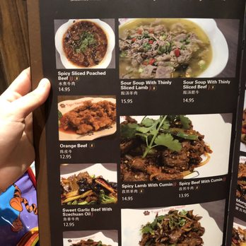 Tiger Noodle House - Beef and Lamb dishes - Chinese Near Me - Katy, Texas
