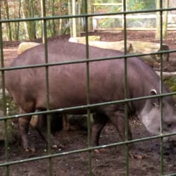 Dudley Zoo