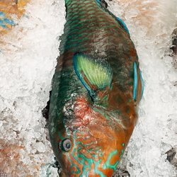 Island Pacific Supermarket-Temecula