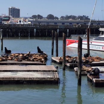 PIER 39 - Shopping Centers Near Me - San Francisco, California PIER 39 - Shopping Centers Near Me - San Francisco, California