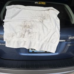 Clean Express Auto Wash - Lambertville - Smear in the Rear