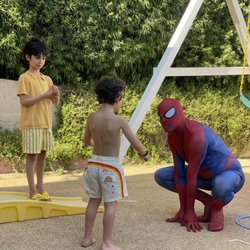 The Character Collective - Spider-Man