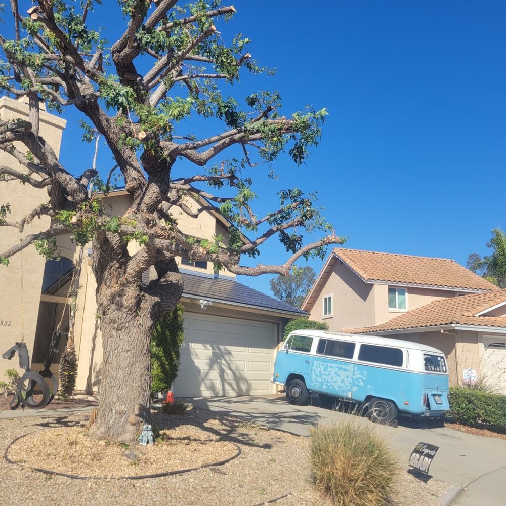 Freddie’s Tree Service - After the job was completed. The crew cleaned up extremely well. - Tree Services Near Me