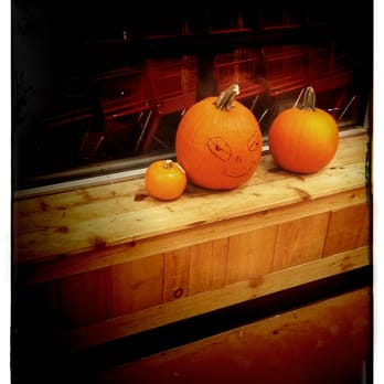 Trader Joe's - Halloween's! - Grocery Near Me - Centreville, Virginia