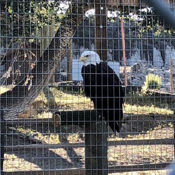 Zoo Idaho- Pocatello - Aquarium Services Near Me - Pocatello, Idaho Zoo Idaho- Pocatello - Aquarium Services Near Me - Pocatello, Idaho