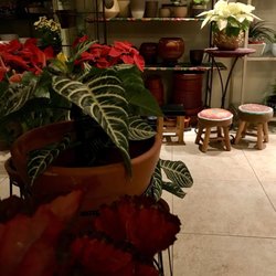 Erva Doce Jardins