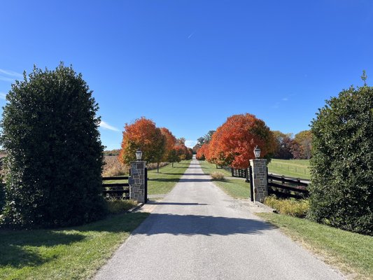 Manor Hill Brewing by null