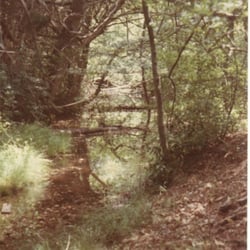 Marthas Furnace - Burr