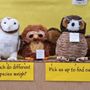 Photo of International Owl Center