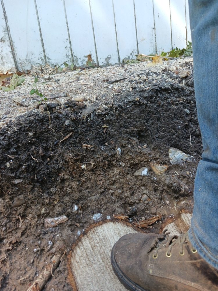 Pettibone Tree Service - tree service in Bolivar, MO