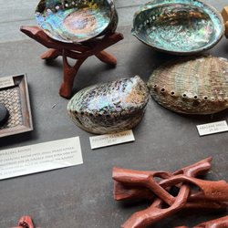 Gem Heaven - Abalone shells