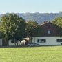Photo of Sportheim SVB