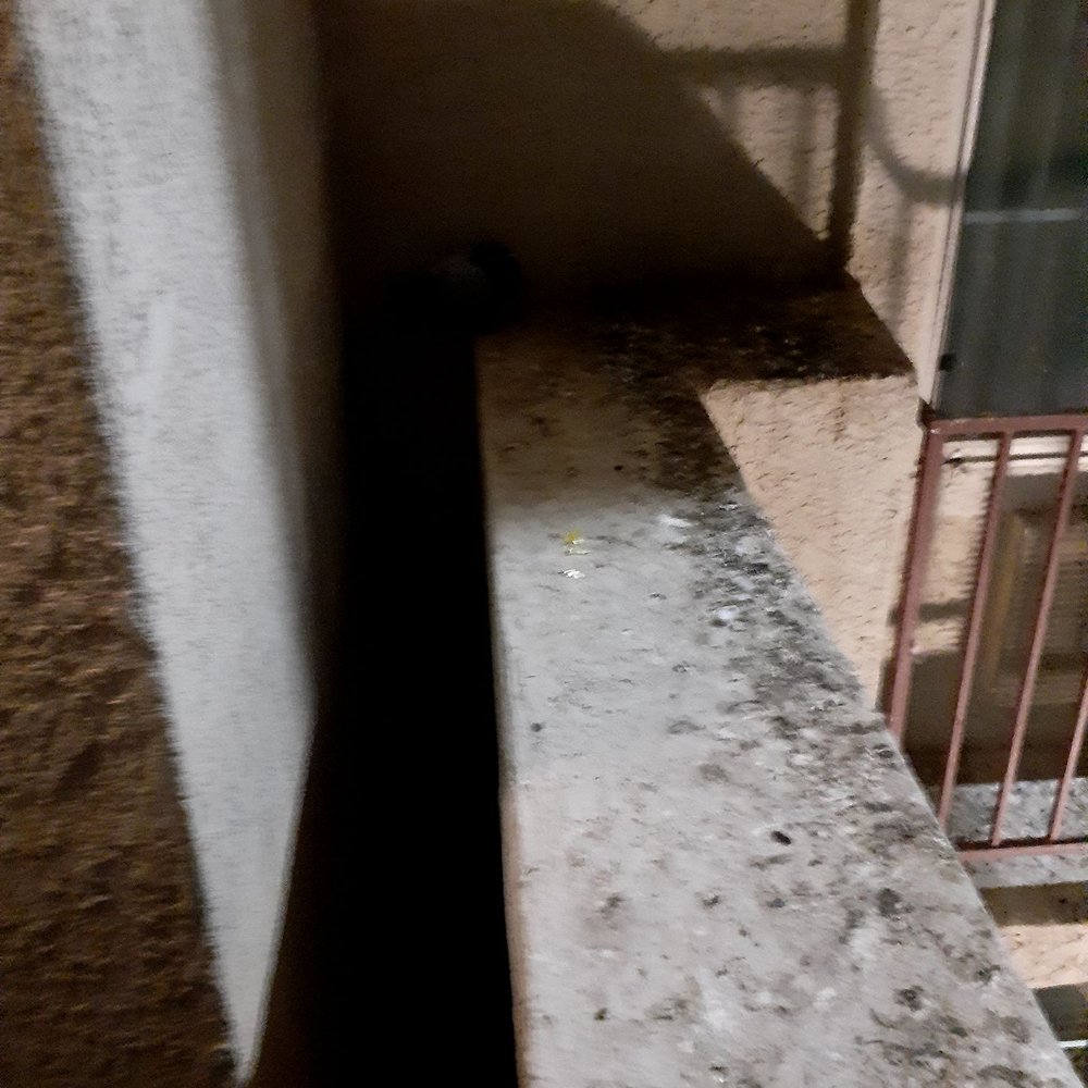 Best Western John Jay Inn - Balcony - Hotels Near Me - Calexico, California Best Western John Jay Inn - Balcony - Hotels Near Me - Calexico, California