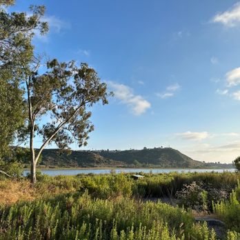 Batiquitos Lagoon Foundation - Community Service/Non-Profit Near Me - Carlsbad, California Batiquitos Lagoon Foundation - Community Service/Non-Profit Near Me - Carlsbad, California