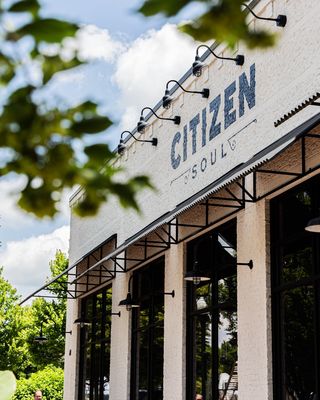 Citizen Soul by null