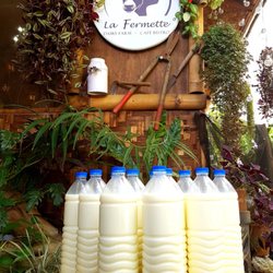 La Fermette Cafe - Fresh milk harvested daily and used to make our own butter, yogurt and cheeses