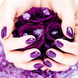 Paradise Nails & Spa - Shellace Manicure