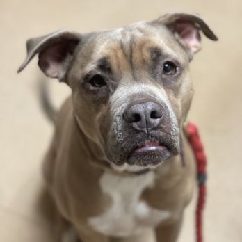 Hanover Veterinary Clinic - Veterinarians Near Me - West Lebanon, New Hampshire Hanover Veterinary Clinic - Veterinarians Near Me - West Lebanon, New Hampshire