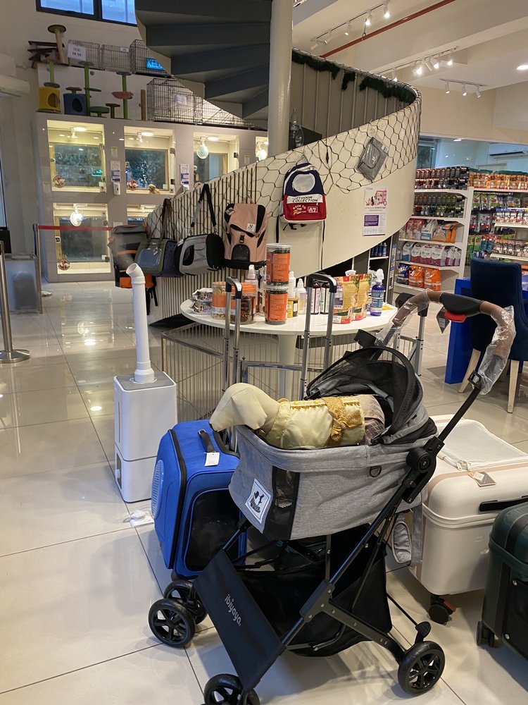 IMPERO PET Jalan Residen 3, Kuala Lumpur, Malaysia Pet Stores Yelp