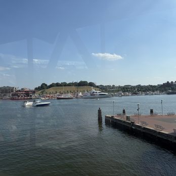 National Aquarium - Aquariums Near Me - Baltimore, Maryland