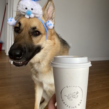 Bliss Caffeine Bar - Zeek and white chocolate strawberry latte - Breakfast & Brunch Near Me - Halifax, Nova Scotia Bliss Caffeine Bar - Zeek and white chocolate strawberry latte - Breakfast & Brunch Near Me - Halifax, Nova Scotia