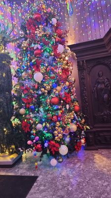 Noche Buena New York by null