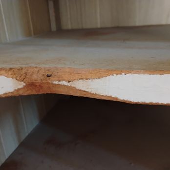 Sierra Home Inspections - Close-up of rodent chewing in living room cabinet. - Home Inspectors Near Me Sierra Home Inspections - Close-up of rodent chewing in living room cabinet. - Home Inspectors Near Me