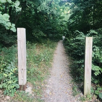 Island Park - Trail - Parks Near Me - Ann Arbor, Michigan