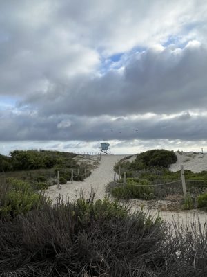 South Ponto Beach by null