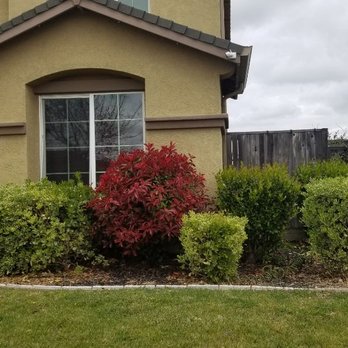 Feather River Lawn Maintenance - Before - Lawn Services Near Me Feather River Lawn Maintenance - Before - Lawn Services Near Me