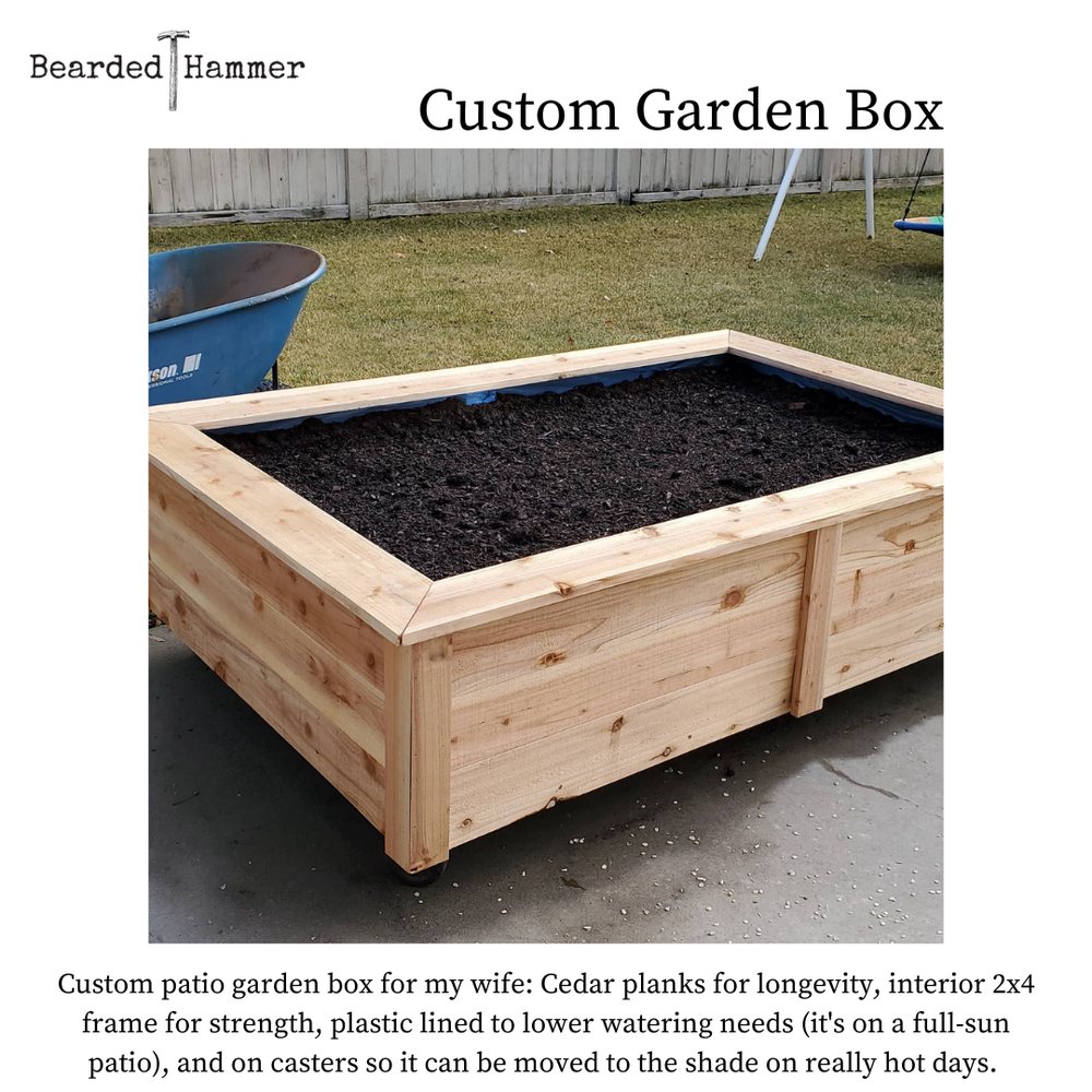 Slide of Bearded Hammer