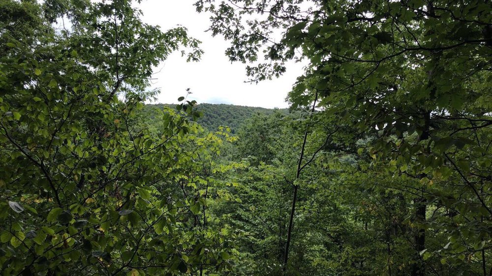 MOHAWK TRAIL STATE FOREST Cold River Rd, Charlemont, MA Yelp