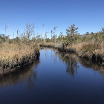Cay Creek Wetlands Interpretive Center - Hiking Near Me - Midway, Georgia Cay Creek Wetlands Interpretive Center - Hiking Near Me - Midway, Georgia