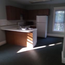 Stanley Steemer - kitchen carpet connects to small dining carpet area that smells like garbage or urine.