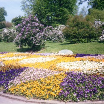Highland Park - Pansy bed - Parks Near Me - Rochester, New York Highland Park - Pansy bed - Parks Near Me - Rochester, New York