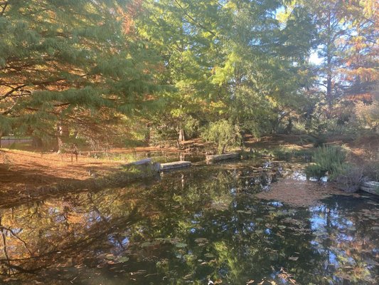 Clark Gardens by null