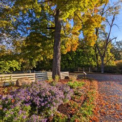 Frietag Garden at fall.