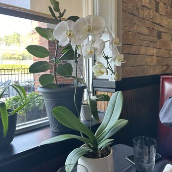 Sophie's Grill and Bar - Fresh flowers - Burgers Near Me - Cary, North Carolina Sophie's Grill and Bar - Fresh flowers - Burgers Near Me - Cary, North Carolina