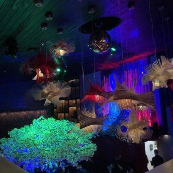 Blackbird Modern Asian - Bars Near Me - Jupiter, Florida