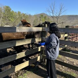 Fort Valley Ranch & Campground