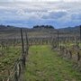 Photo of Casa Sola - Chianti Winery