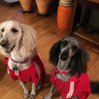 PetSmart - Pet Training Near Me - Madison, Wisconsin