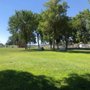Photo of Wiggly Field Off-Leash Dog Park