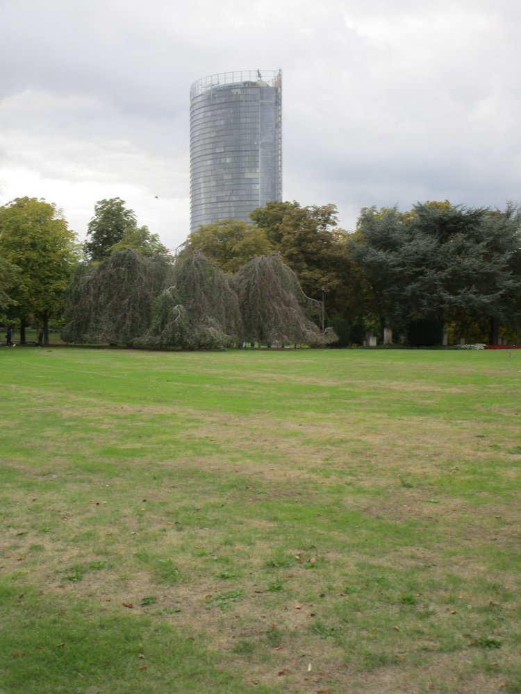 Freizeitpark Rheinaue